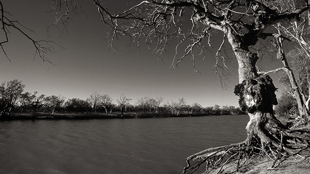 Murray River New South Wales Australia by Boris Vargovic, free photo, wallpapers, images
