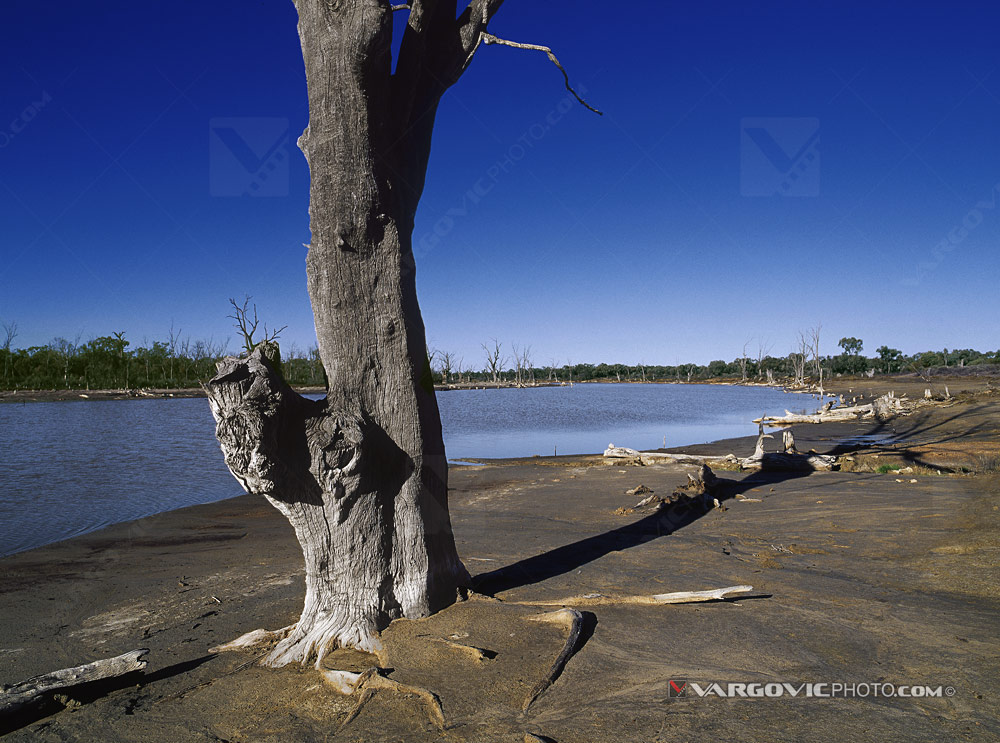 Special moment in the middle of one winter sunny day on the Australian Murray River by fine art photographer Boris Vargovic