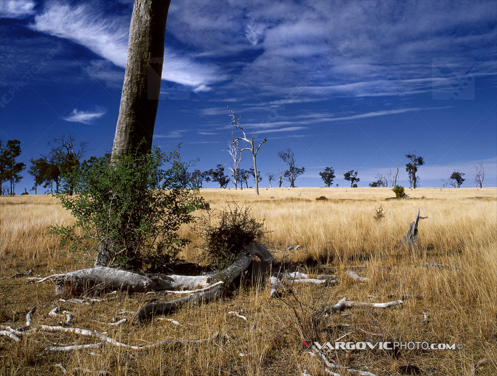 Australian landscape in the state of New South Wales by Boris Vargovic