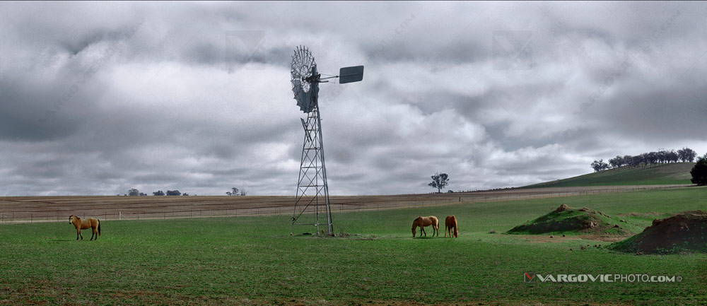 Typical Australian late afternoon scennery in the state of Victoria by fine art photographer Boris Vargovic