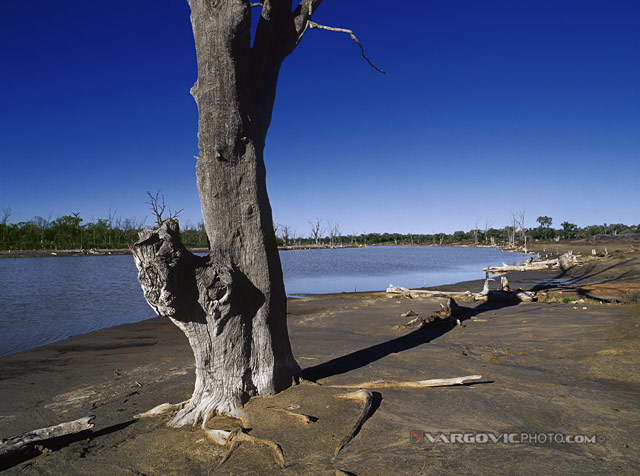 From-Somewhere-To-Nowhere_Australia_Murray-River_Kings-Billabong_Vargovic-Photo