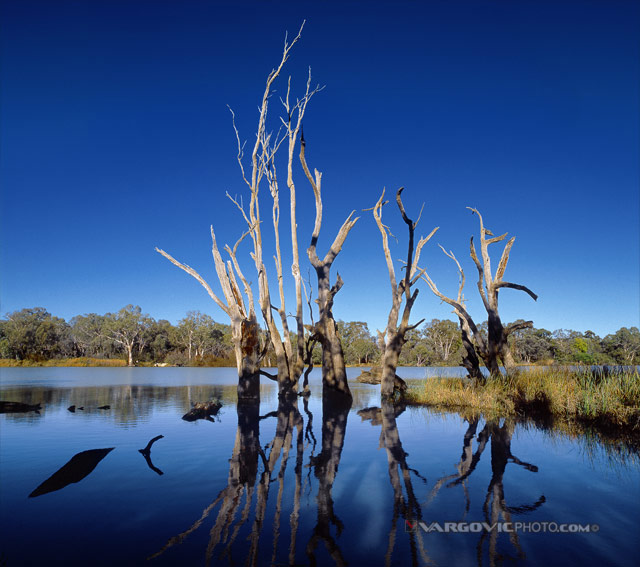 Ghosts-On-The-Water_Australia_Murray-River_Kings-Billabong_Vargovic-Photo