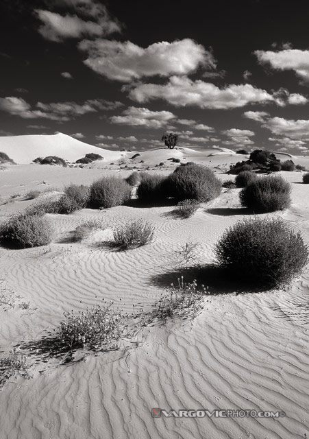 Some-Day-Without-Worries_Mungo_Desert_Mungo-Lake_Australia_Vargovic-Photo