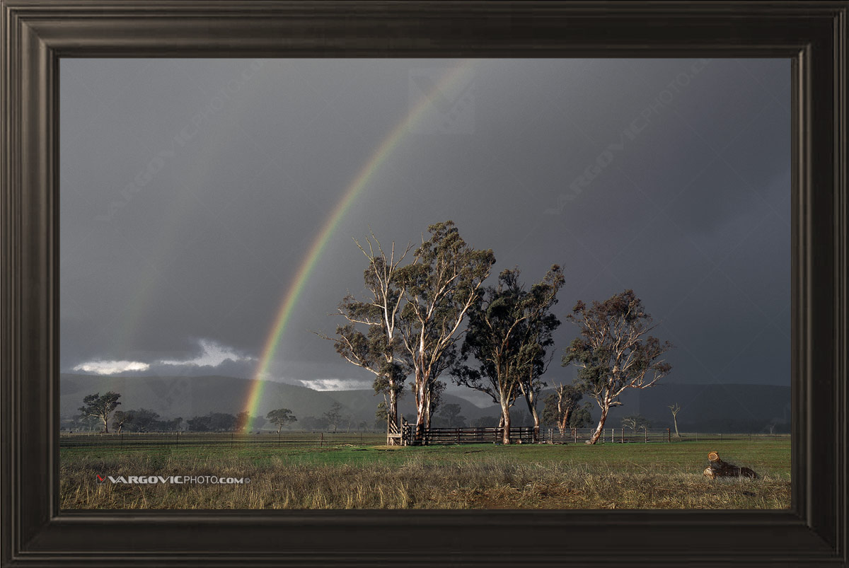 Victorian rainy winter landscape in Australia near to Melbourne city in the state of Victoria by fine art photographer Boris Vargovic