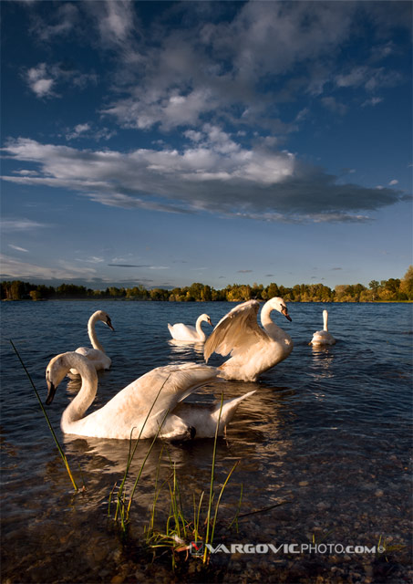 Something-Is-Charming-On-The-Air_Soderica-Lake_Podravina_Croatia_By-Boris-Vargovic-Fine-Art-Photography