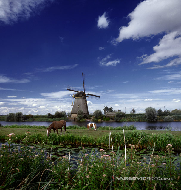 Undo-My-Inspiration_Kinderdijk_Holland_The-Netherlands_Dutch-South_Horses_Windmill-On-The-Water_By-Boris-Vargovic