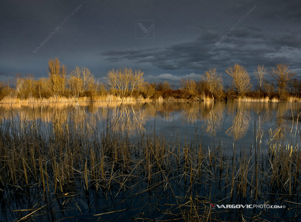 Late sun light on the Soderica lake in Croatian Podravina