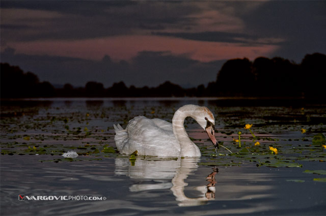His-Story-Under-Setting-Sun_Soderica-Lake_Podravina_Croatia_By-Boris-Vargovic-Fine-Art-Photography