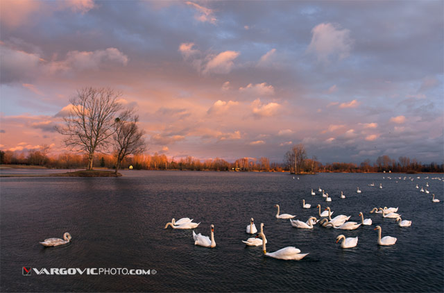 Our-Perfect-Afternoon__Soderica-Lake_Podravina_Croatia_Boris-Vargovic-Photography