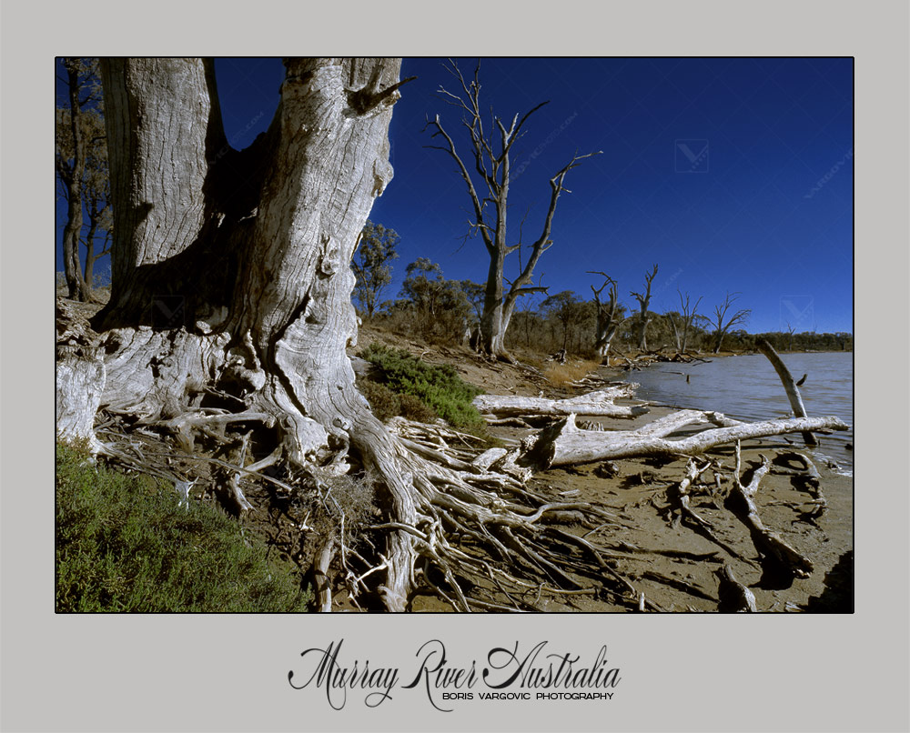 Special moment in the middle of one winter sunny day on the Australian Murray River by fine art photographer Boris Vargovic