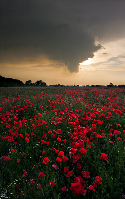 Follow-The-Red-One_Croatia_Podravina_Vargovic-Photo