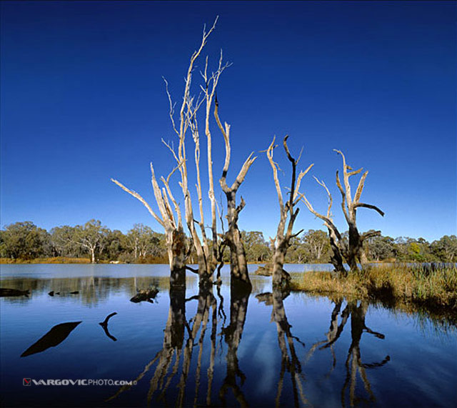Ghosts-On-The-Water_Australia_Murray-River_Kings-Billabong_Vargovic-Photo