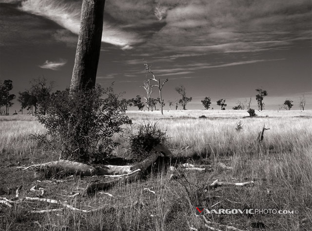The-Memory-Of-Dreamtime_Australia_New-South-Wales_Cessnock_Dreamtime_Aborigines_Down-Under_Vargovic-Photo_Sepia