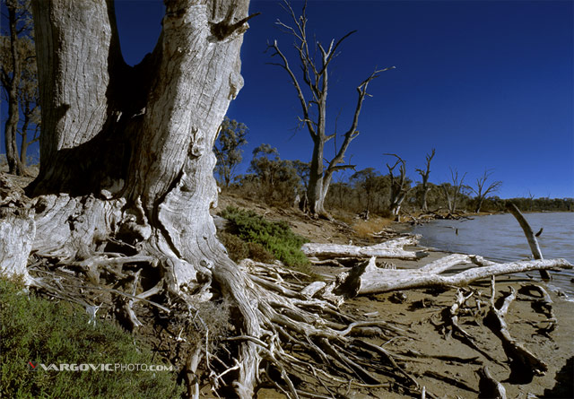 Time_Australia_Murray-River_Mildura_Kings-Billabong_Irymple_Vargovic-Photography
