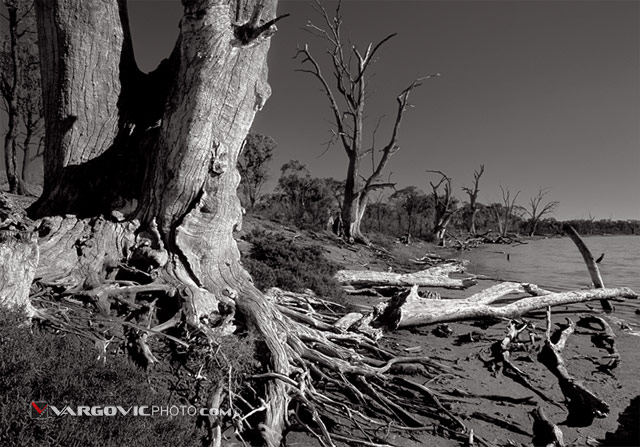 Time_Australia_Murray-River_Mildura_Kings-Billabong_Irymple_Vargovic-Photography_Sepia